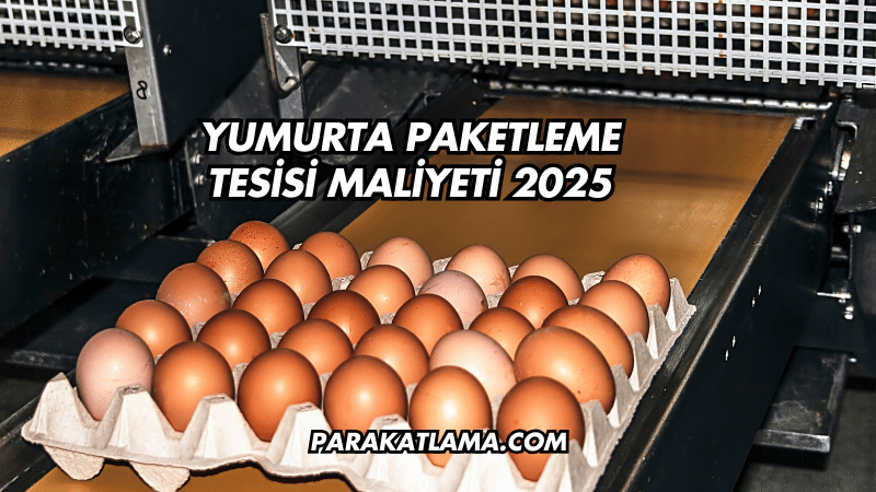 Yumurta Paketleme Tesisi Maliyeti 2025