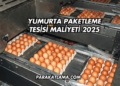 Yumurta Paketleme Tesisi Maliyeti 2025