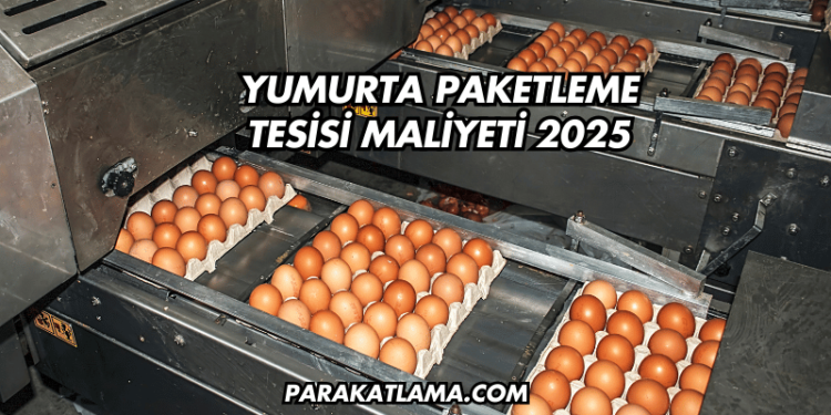 Yumurta Paketleme Tesisi Maliyeti 2025