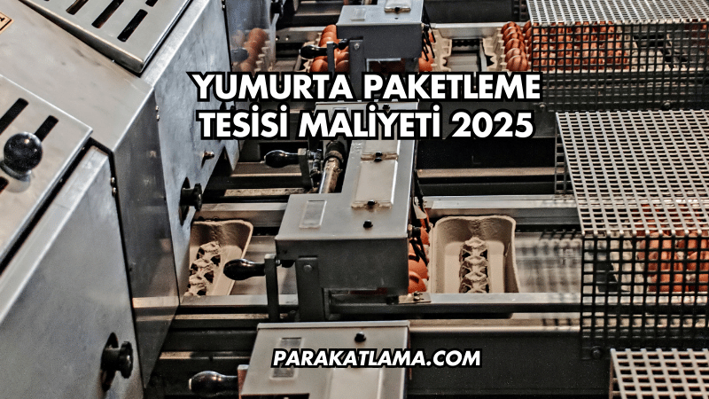 Yumurta Paketleme Tesisi Maliyeti 2025