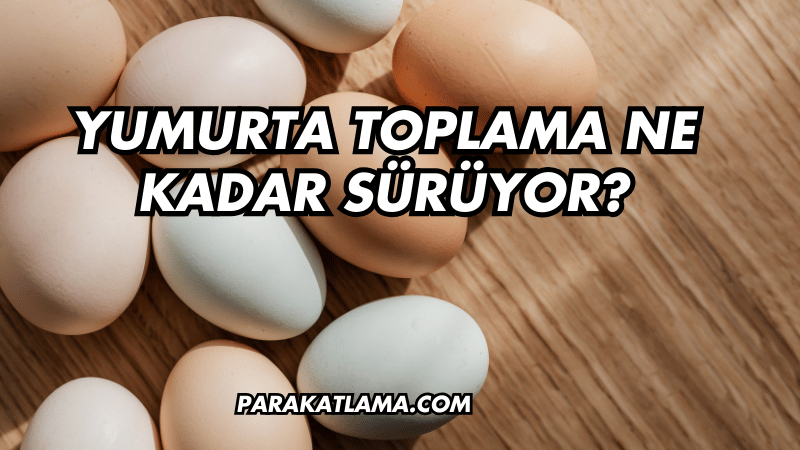 Yumurta Toplama Ne Kadar Sürüyor?