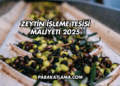 Zeytin İşleme Tesisi Maliyeti 2025