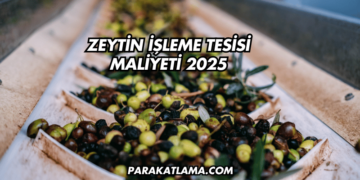 Zeytin İşleme Tesisi Maliyeti 2025