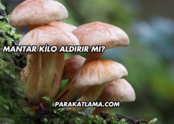 Mantar Kilo Aldırır mı?