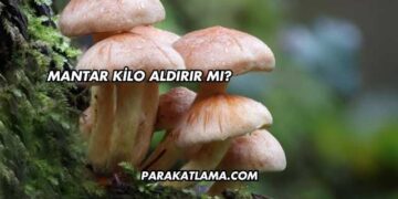 Mantar Kilo Aldırır mı?