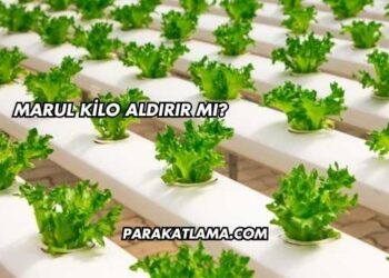 Marul Kilo Aldırır mı?