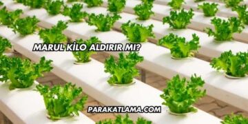 Marul Kilo Aldırır mı?