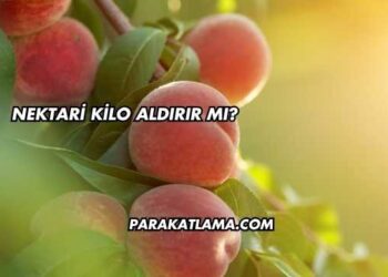 Nektari Kilo Aldırır mı?
