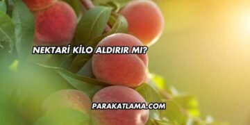 Nektari Kilo Aldırır mı?